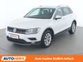 Volkswagen Tiguan 1.4 TSI Comfortline BlueMotion Tech Weiß - thumbnail 1
