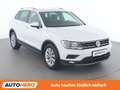 Volkswagen Tiguan 1.4 TSI Comfortline BlueMotion Tech Weiß - thumbnail 8