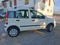 Fiat Panda Panda 1.4 natural power Classic Bianco - thumbnail 8