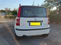 Fiat Panda Panda 1.4 natural power Classic Bianco - thumbnail 5
