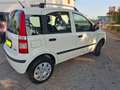 Fiat Panda Panda 1.4 natural power Classic Bianco - thumbnail 7