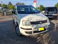 Fiat Panda Panda 1.4 natural power Classic Bianco - thumbnail 10