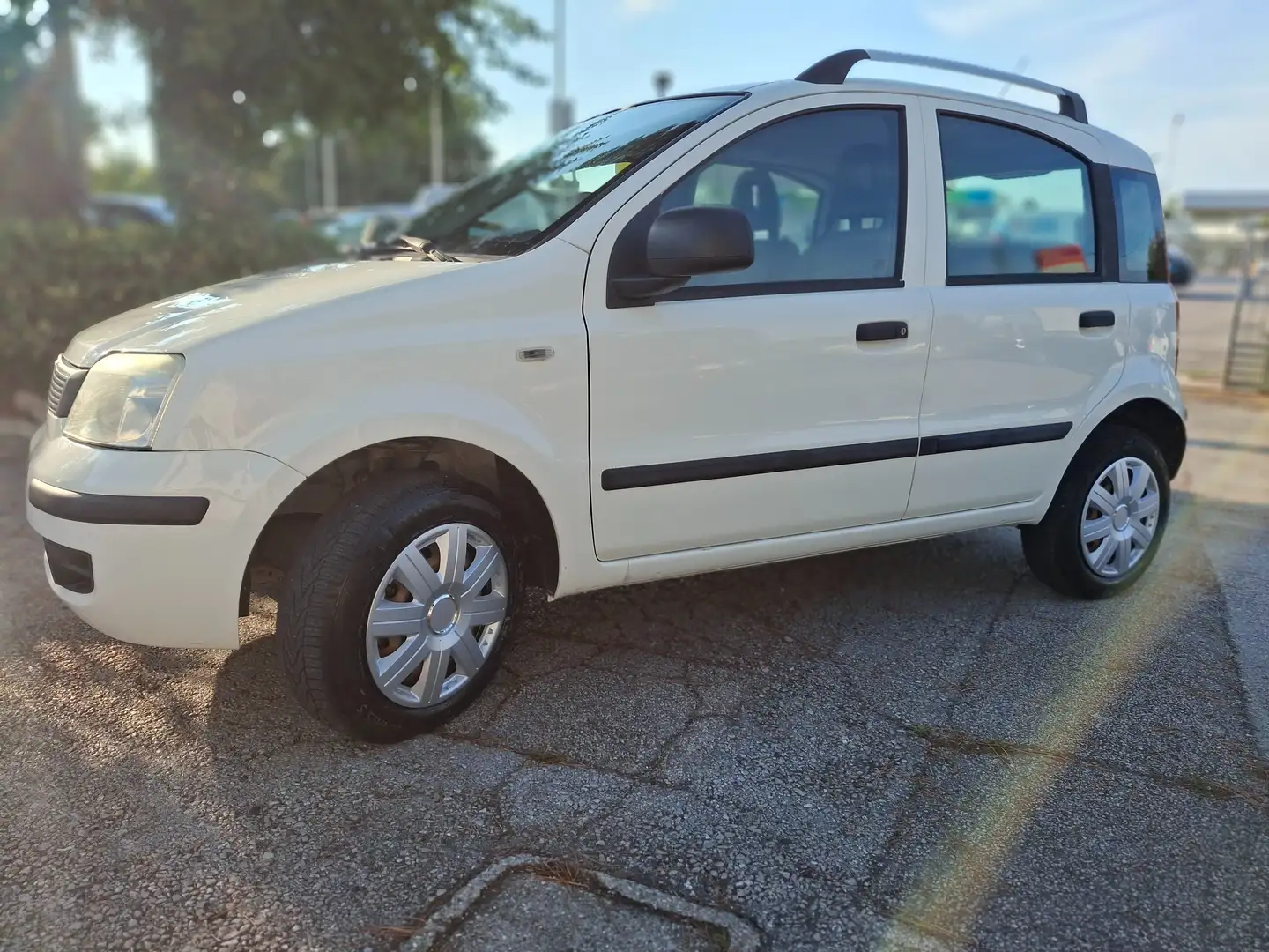 Fiat Panda Panda 1.4 natural power Classic Bianco - 2