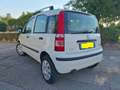 Fiat Panda Panda 1.4 natural power Classic Bianco - thumbnail 4