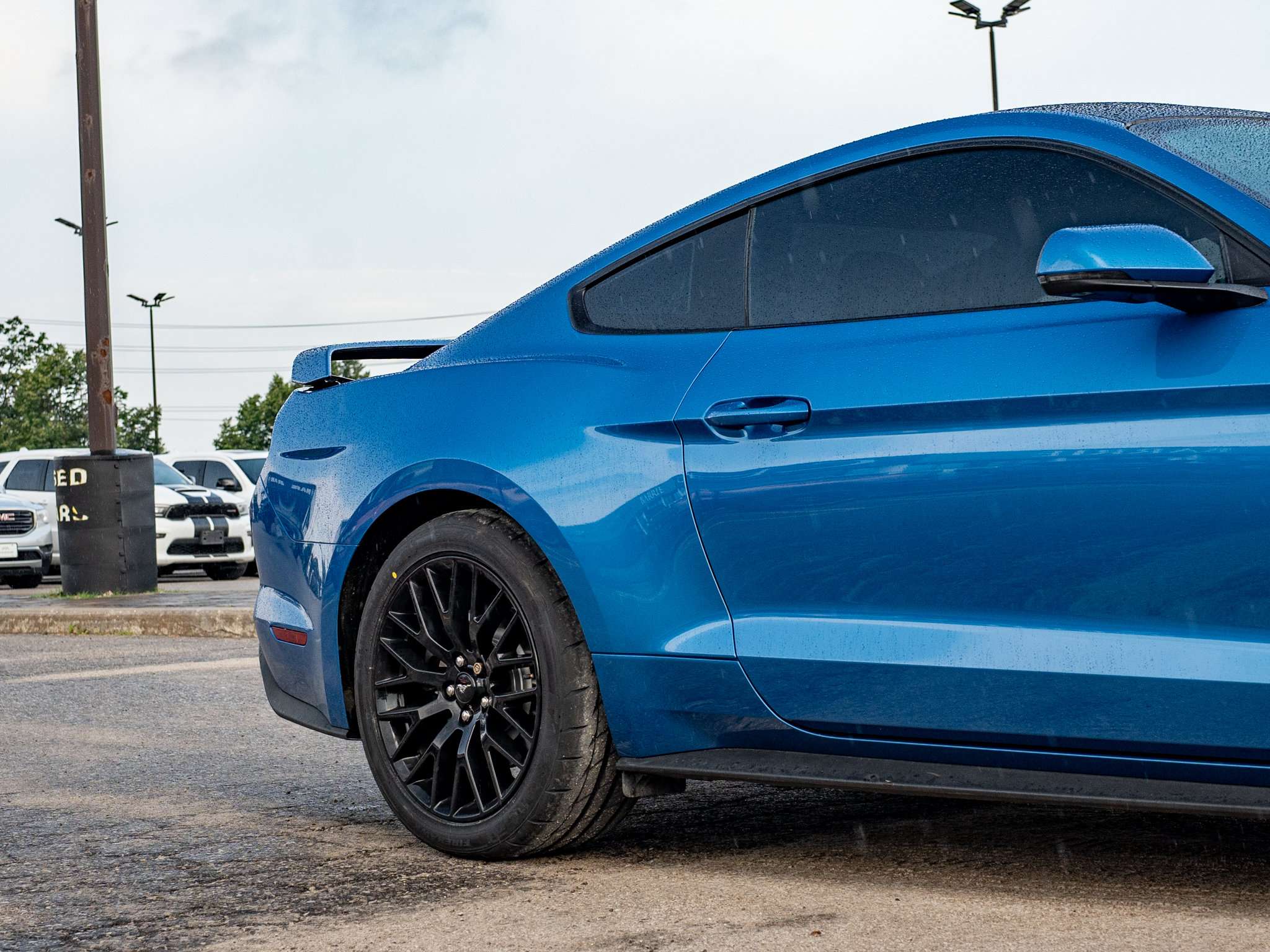 Image 9
