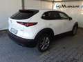 Mazda CX-30 2.0L Skyactiv-G 122cv M Hybrid Executive + Pack Bianco - thumbnail 13