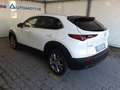 Mazda CX-30 2.0L Skyactiv-G 122cv M Hybrid Executive + Pack Bianco - thumbnail 11