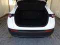 Mazda CX-30 2.0L Skyactiv-G 122cv M Hybrid Executive + Pack Bianco - thumbnail 14