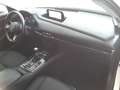 Mazda CX-30 2.0L Skyactiv-G 122cv M Hybrid Executive + Pack Bianco - thumbnail 10