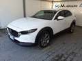 Mazda CX-30 2.0L Skyactiv-G 122cv M Hybrid Executive + Pack Bianco - thumbnail 3
