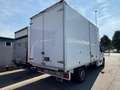Renault Master T35 2.3 dCi 145 PL Cabinato Energy Ice Weiß - thumbnail 6