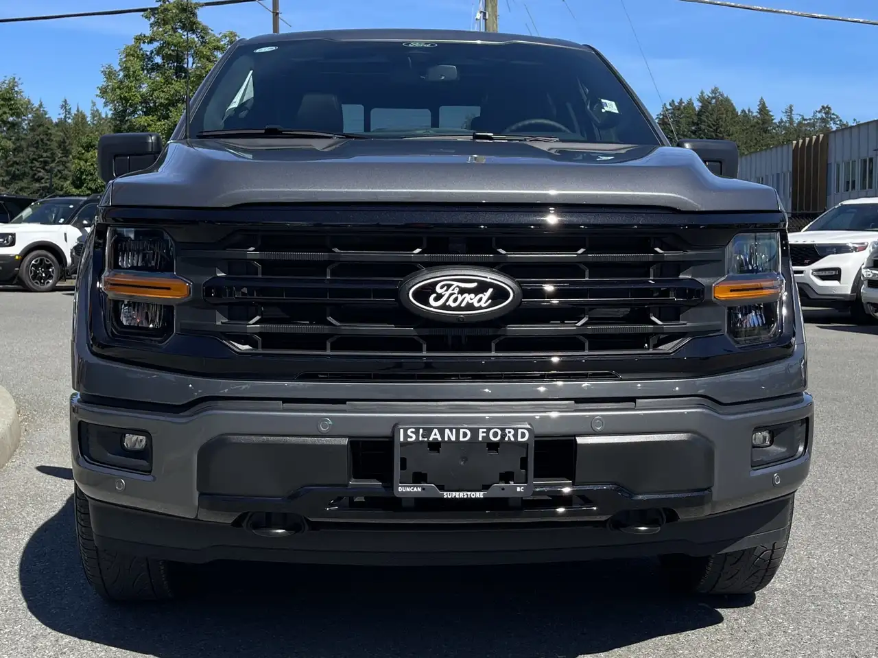 Ford F 150 снимка Ford F 150