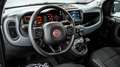 Fiat Panda Cross 1.0 firefly hybrid Cross S Italiana Km Cert Grün - thumbnail 6
