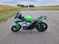 Kawasaki Ninja 300 KRT Edition Groen - thumbnail 3