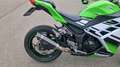 Kawasaki Ninja 300 KRT Edition Groen - thumbnail 12