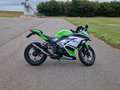 Kawasaki Ninja 300 KRT Edition Groen - thumbnail 2