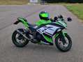 Kawasaki Ninja 300 KRT Edition Groen - thumbnail 1
