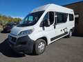 Fiat Ducato SUNLIGHT 540 2.3L 120CH Blanc - thumbnail 1