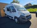 Fiat Ducato SUNLIGHT 540 2.3L 120CH Blanc - thumbnail 3