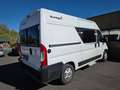 Fiat Ducato SUNLIGHT 540 2.3L 120CH Blanc - thumbnail 6