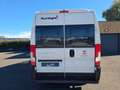 Fiat Ducato SUNLIGHT 540 2.3L 120CH Blanc - thumbnail 5