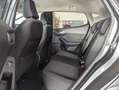Ford Fiesta 1.0 EB Active Aut /Navi/SHZ/PDC/DAB Grau - thumbnail 8
