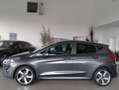 Ford Fiesta 1.0 EB Active Aut /Navi/SHZ/PDC/DAB Grau - thumbnail 2