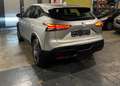 Nissan Qashqai Qashqai 1.3 DIG-T MHEV Business Edition Xtronic Gris - thumbnail 5