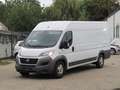 Fiat Ducato Maxi Grossr.-Kasten 35 130 L5H2 RS: 4035 - thumbnail 2