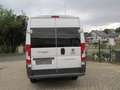 Fiat Ducato Maxi Grossr.-Kasten 35 130 L5H2 RS: 4035 - thumbnail 6