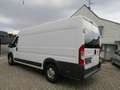 Fiat Ducato Maxi Grossr.-Kasten 35 130 L5H2 RS: 4035 - thumbnail 8