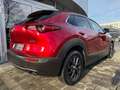 Mazda CX-30 Skyactive Exclusive Standh. LED Navi CarPl Rot - thumbnail 6