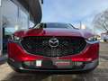 Mazda CX-30 Skyactive Exclusive Standh. LED Navi CarPl Rot - thumbnail 22