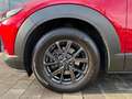Mazda CX-30 Skyactive Exclusive Standh. LED Navi CarPl Rot - thumbnail 20