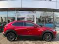 Mazda CX-30 Skyactive Exclusive Standh. LED Navi CarPl Rot - thumbnail 4