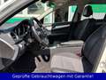 Mercedes-Benz C 200 CDI T-Modell BlueEfficiency*SITZ-HZ*AUTOM* Weiß - thumbnail 6