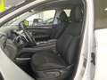 Hyundai TUCSON 1.6 TGDI 48V Tecno 2C 4x2 DT Blanco - thumbnail 9