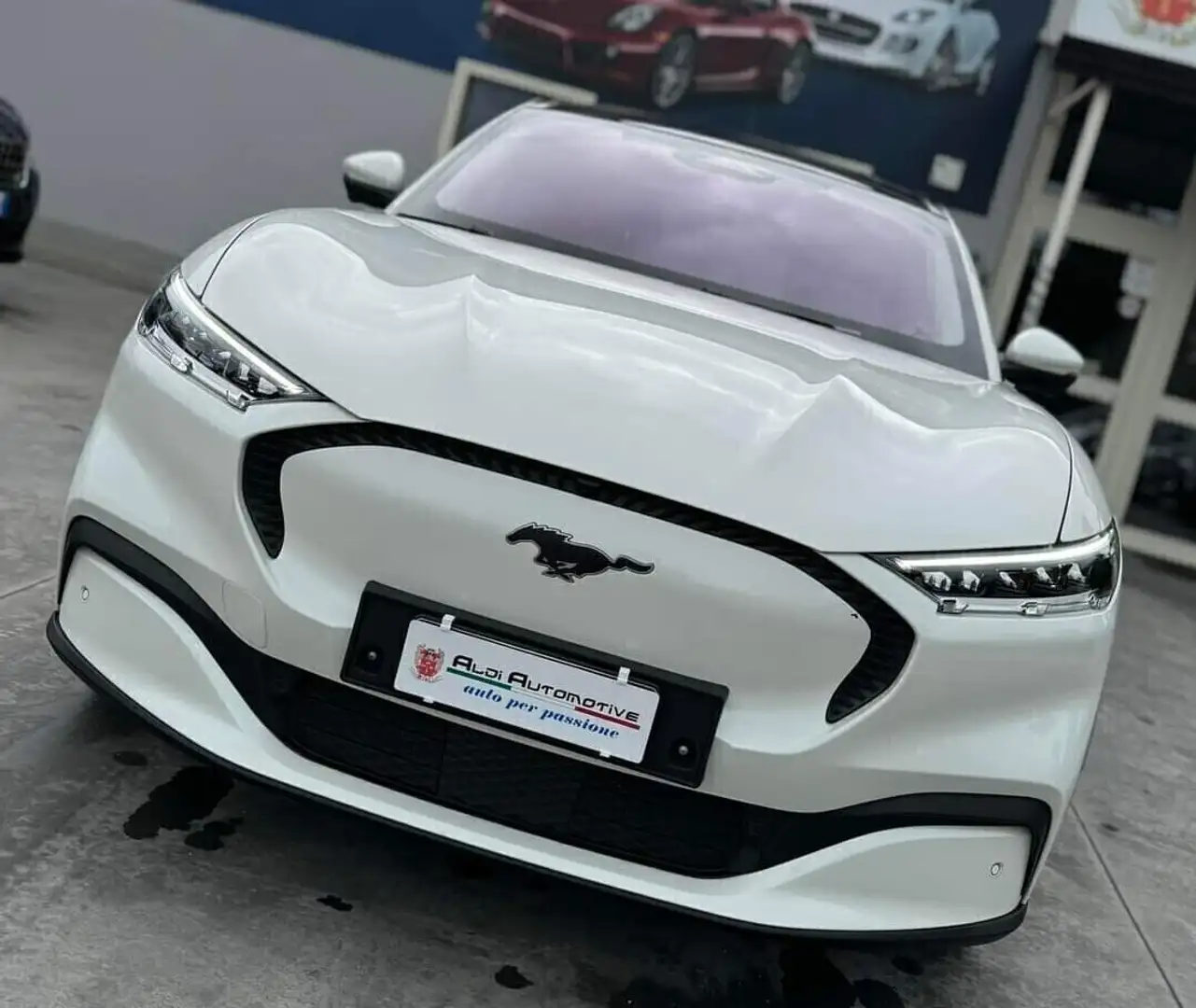 Ford Mustang Mach-E Elettrico Standard 269CV Bianco - 2