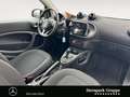smart forTwo fortwo passion twinamic PANORAMA*SHZ*COOL&AUDIO Blanc - thumbnail 15