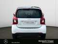 smart forTwo fortwo passion twinamic PANORAMA*SHZ*COOL&AUDIO Blanc - thumbnail 4