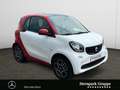 smart forTwo fortwo passion twinamic PANORAMA*SHZ*COOL&AUDIO Blanc - thumbnail 7