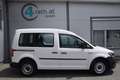 Volkswagen Caddy Kombi 2,0 TDI / NETTO: 12.483 € Weiß - thumbnail 6