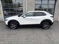 Mazda CX-30 2.0 e-SkyActiv-X M Hybrid100th Anniversary Ed. | T Wit - thumbnail 5