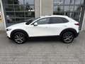 Mazda CX-30 2.0 e-SkyActiv-X M Hybrid100th Anniversary Ed. | T Wit - thumbnail 2