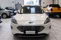 Ford Kuga 2.5 phev Titanium 2wd 225cv e-shifter Bianco - thumbnail 4