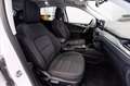 Ford Kuga 2.5 phev Titanium 2wd 225cv e-shifter Bianco - thumbnail 15