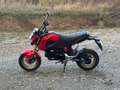 Honda MSX 125 Rouge - thumbnail 1