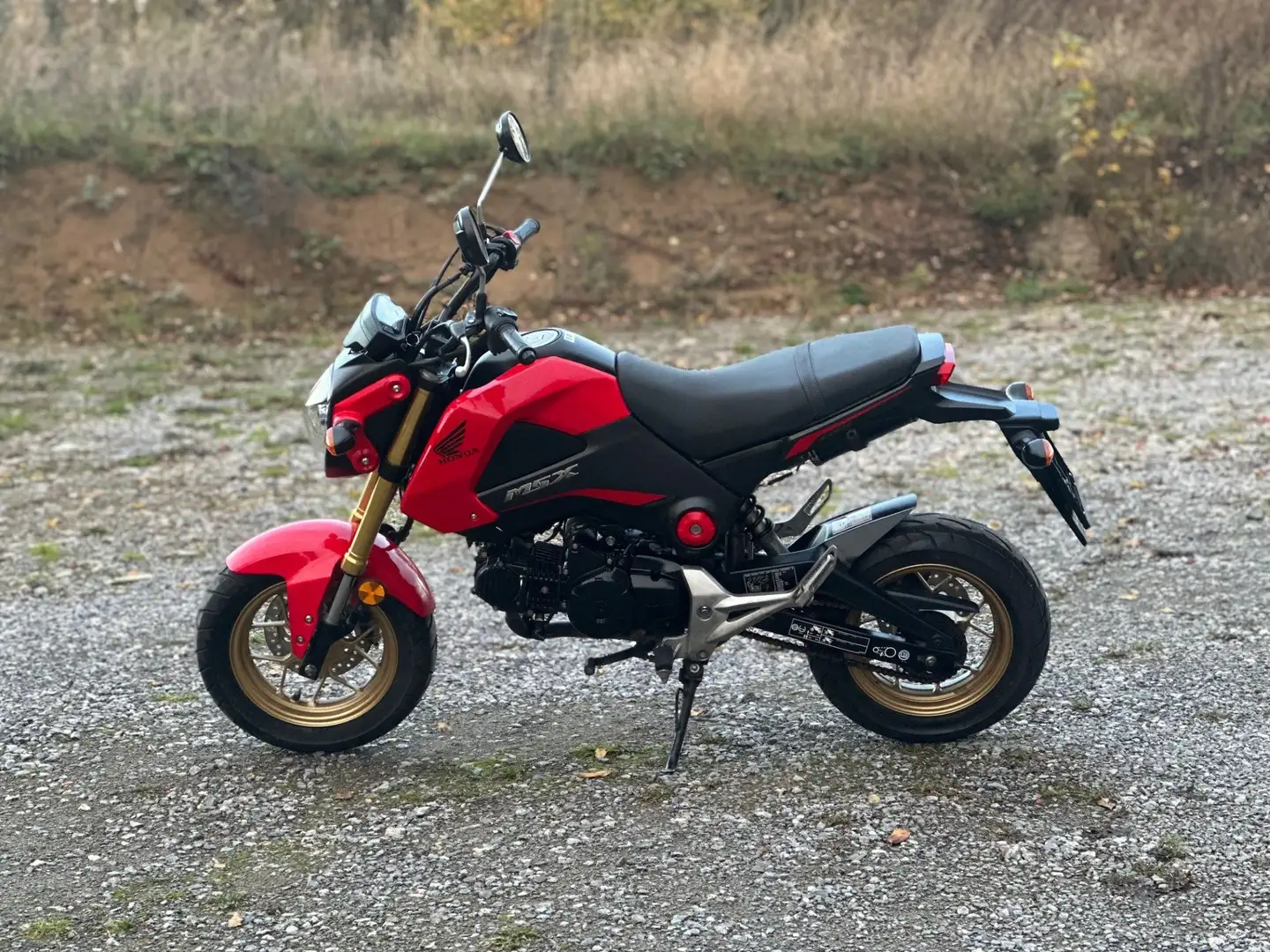 Honda MSX 125 Rouge - 1