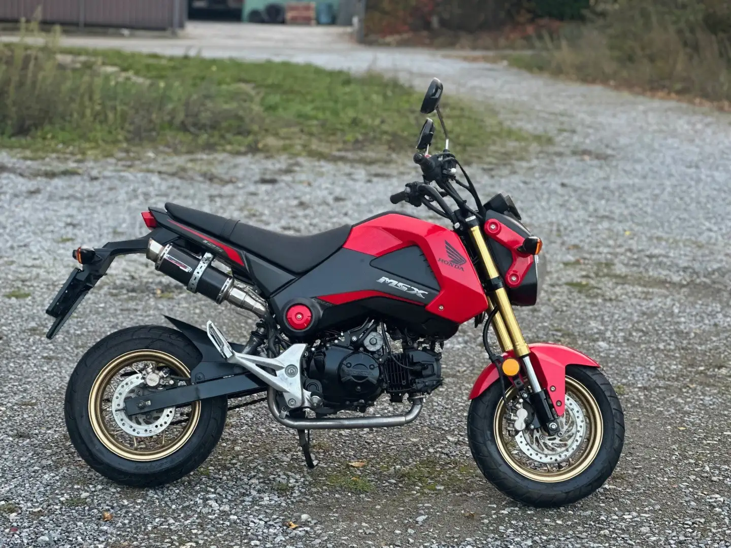 Honda MSX 125 Rouge - 2