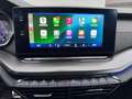 Skoda Octavia Combi RS 4x4 HuD/Canton/Matrix AFS/ AHK Gris - thumbnail 12